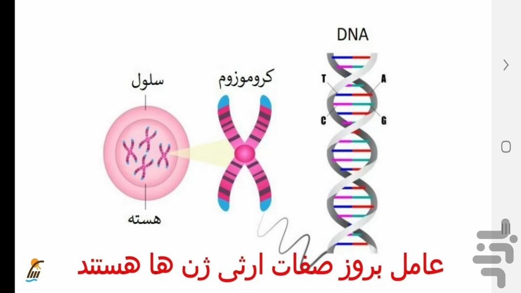 علوم تجربی پایه هشتم - آموزش و آزمون - عکس برنامه موبایلی اندروید