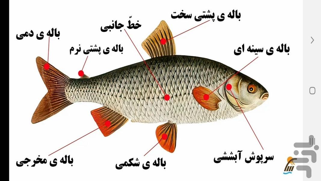 آموزش علوم تجربی پایه نهم - عکس برنامه موبایلی اندروید