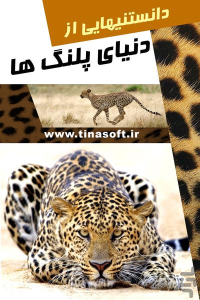 دانستنی هایی از دنیای پلنگ ها - عکس برنامه موبایلی اندروید