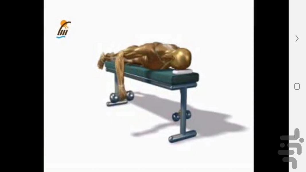 ‏تمرینات قدرتی و مقاومتی در بدن سازی - عکس برنامه موبایلی اندروید
