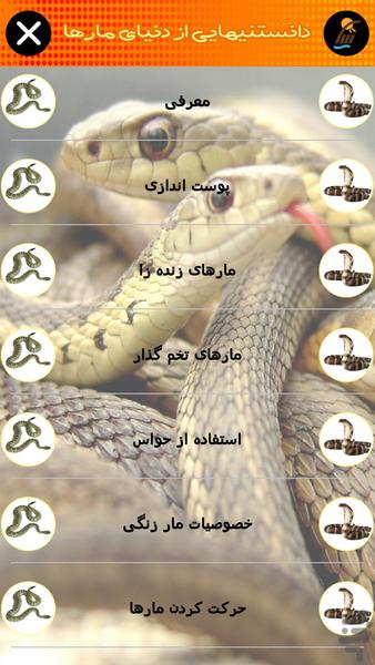 Knowledge snakes world - Image screenshot of android app
