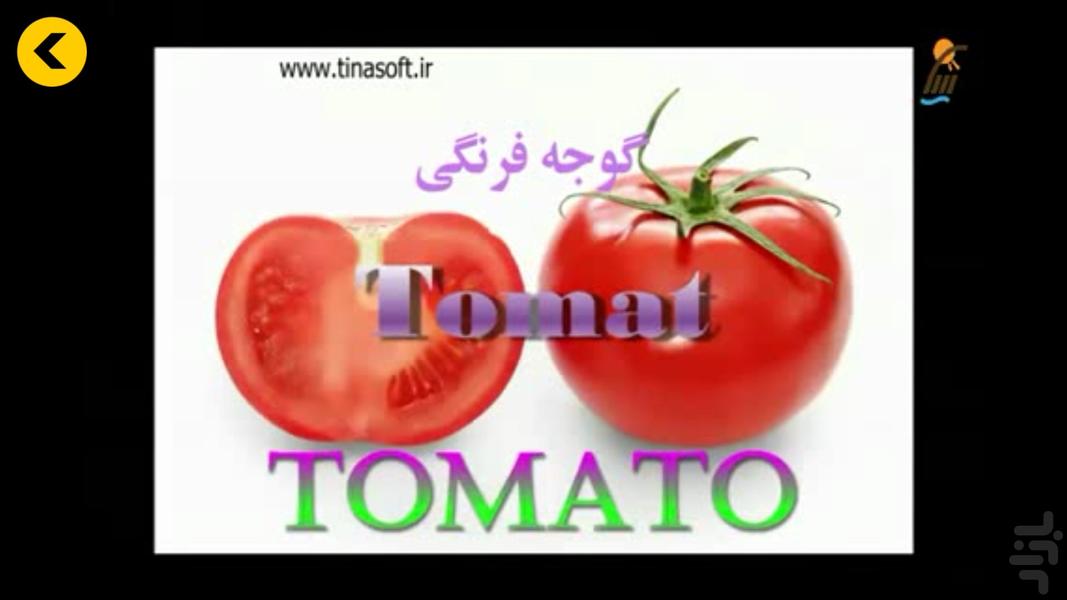 Learning Swedish - عکس برنامه موبایلی اندروید