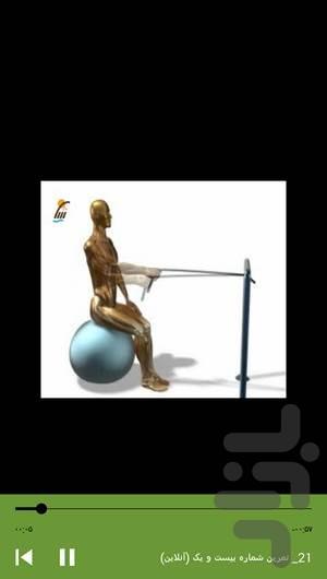 Sport exercises with Swiss ball - Image screenshot of android app