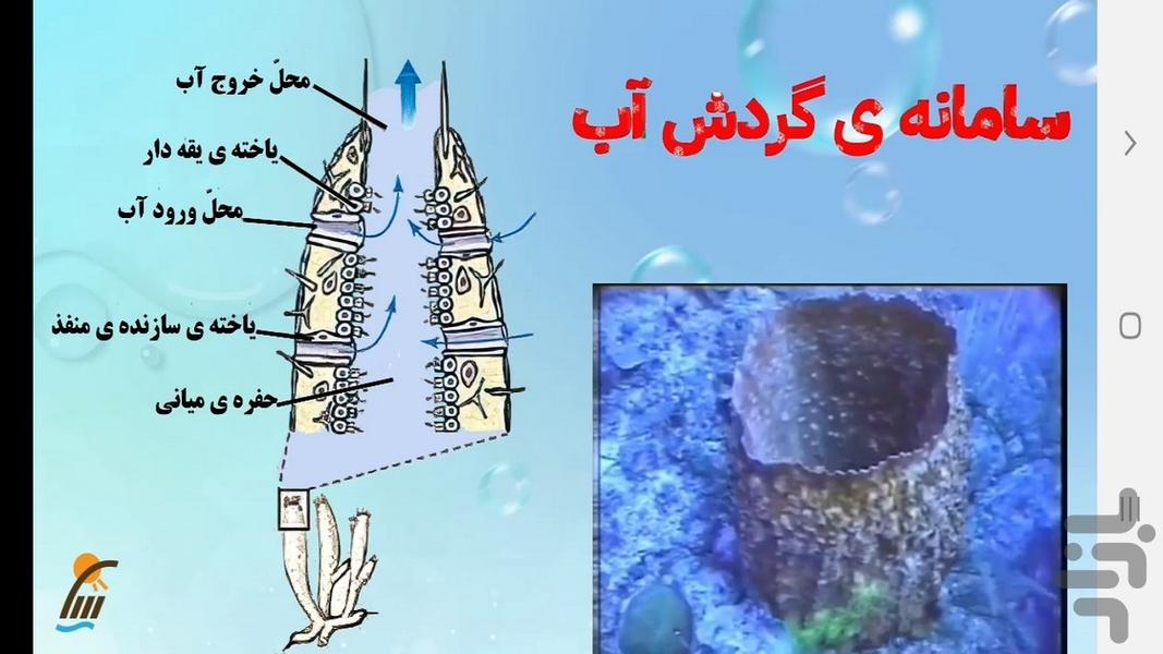 آموزش زیست شناسی (۱) - پایه دهم - عکس برنامه موبایلی اندروید