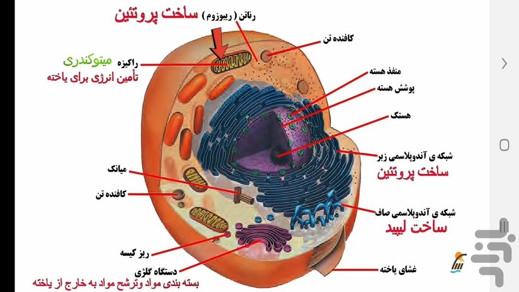 آموزش زیست شناسی (۱) - پایه دهم - عکس برنامه موبایلی اندروید