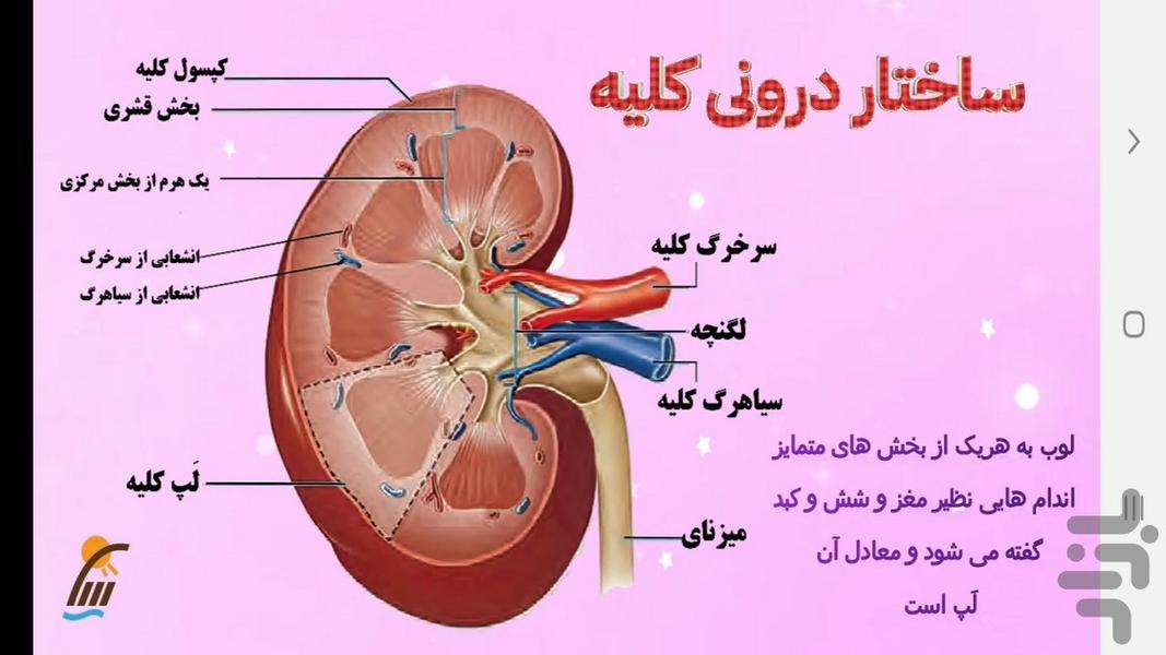 آموزش زیست شناسی (۱) - پایه دهم - عکس برنامه موبایلی اندروید