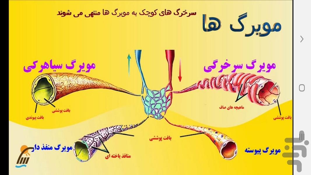 آموزش زیست شناسی (۱) - پایه دهم - عکس برنامه موبایلی اندروید