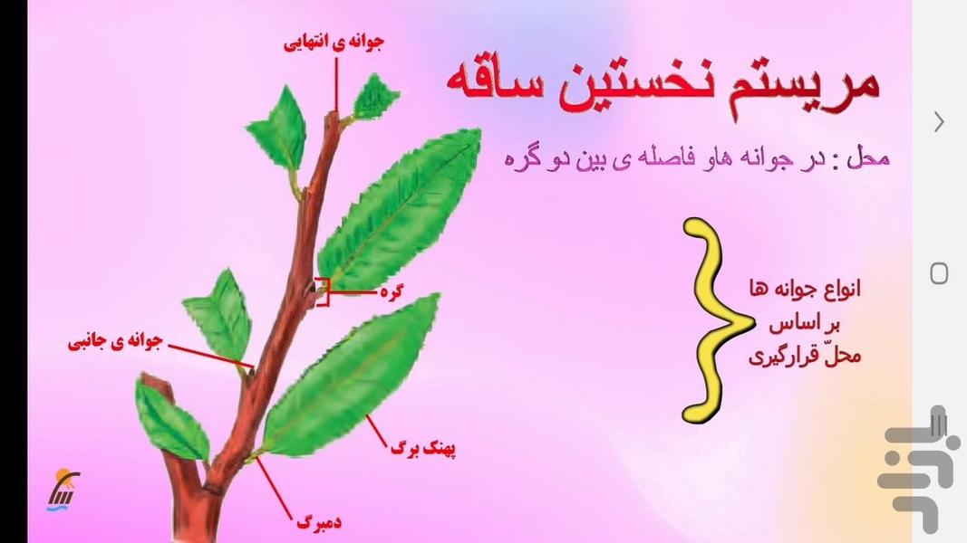 آموزش زیست شناسی (۱) - پایه دهم - عکس برنامه موبایلی اندروید