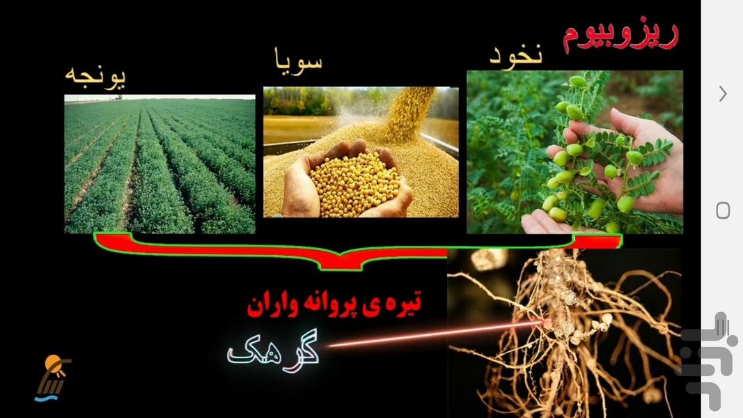 آموزش زیست شناسی (۱) - پایه دهم - عکس برنامه موبایلی اندروید