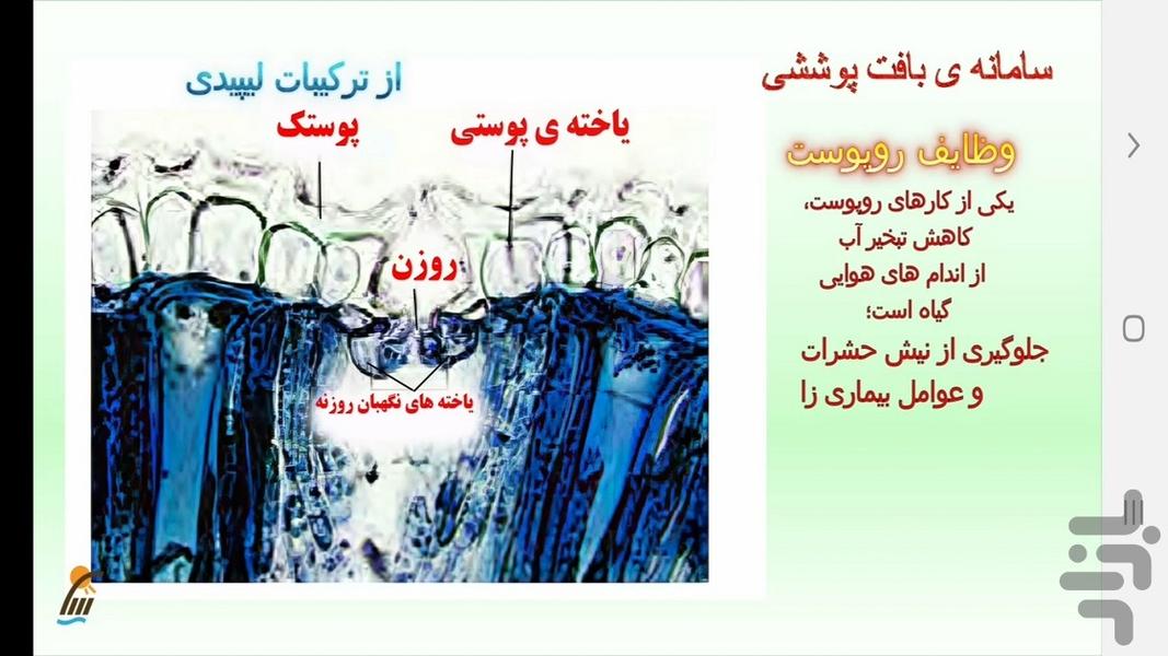 زیست شناسی (۱) - آموزش و آزمون - عکس برنامه موبایلی اندروید