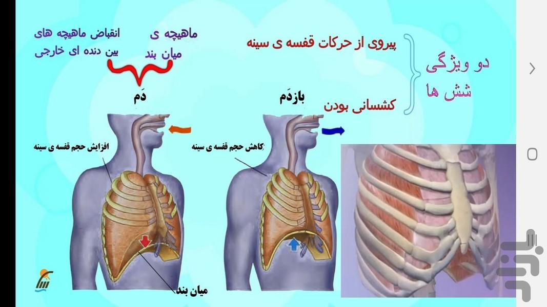زیست شناسی (۱) - آموزش و آزمون - عکس برنامه موبایلی اندروید