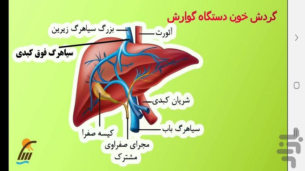 زیست شناسی (۱) - آموزش و آزمون - عکس برنامه موبایلی اندروید