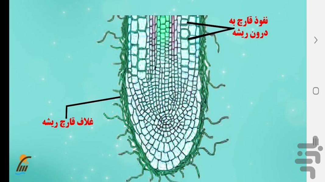 زیست شناسی (۱) - آموزش و آزمون - عکس برنامه موبایلی اندروید