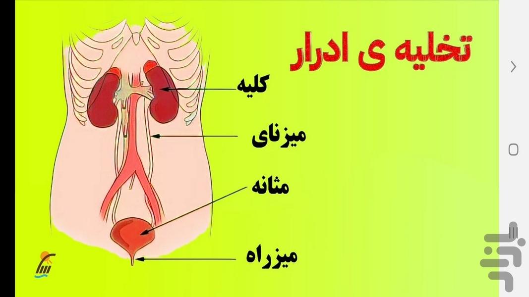 زیست شناسی (۱) - آموزش و آزمون - عکس برنامه موبایلی اندروید