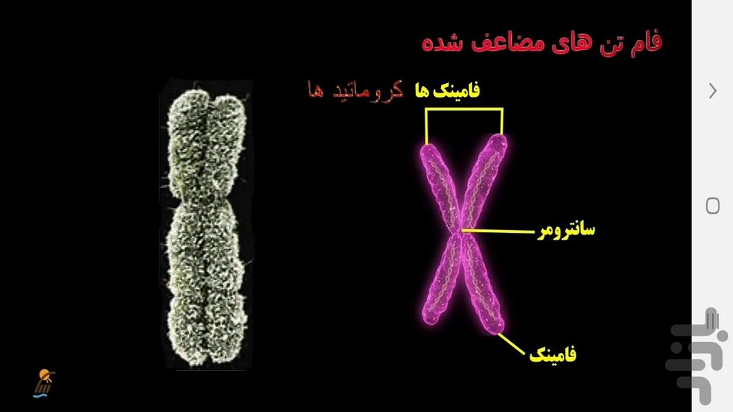 Biology (2) - Teaching and testing - Image screenshot of android app