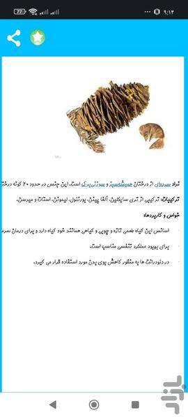 تولید اسانس گیاهی - Image screenshot of android app