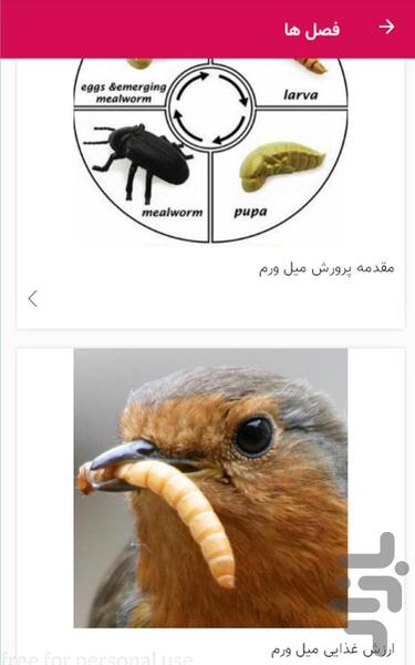 آموزش پرورش میل ورم در خانه میلورم - عکس برنامه موبایلی اندروید