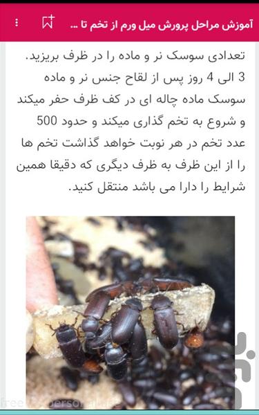 آموزش پرورش میل ورم در خانه میلورم - Image screenshot of android app