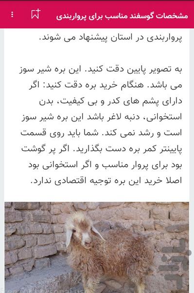 پرورش گوسفند داشتی و بره پرواری - عکس برنامه موبایلی اندروید
