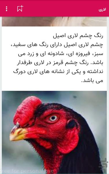 آموزش جامع پرورش مرغ زینتی + لاری - Image screenshot of android app