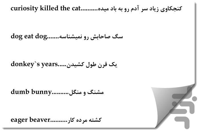 واژه نامه خیابانی انگلیسی - Image screenshot of android app