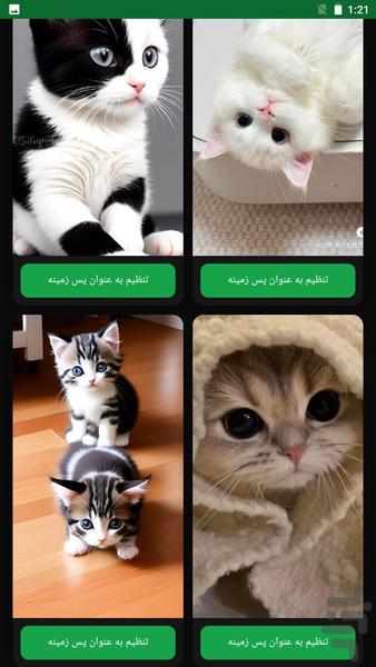 تصویر زمینه گربه | والپیپر HD - عکس برنامه موبایلی اندروید