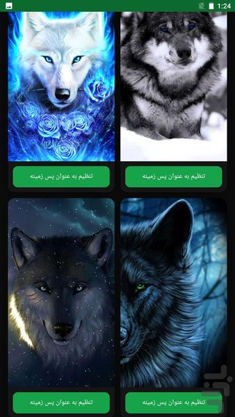 تصویر زمینه گرگ | والپیپر HD - عکس برنامه موبایلی اندروید