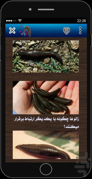 ir.zaloo - Image screenshot of android app
