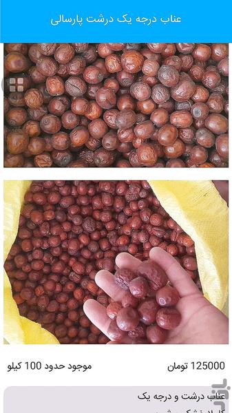 Barberry and jujube of South Khoras - Image screenshot of android app