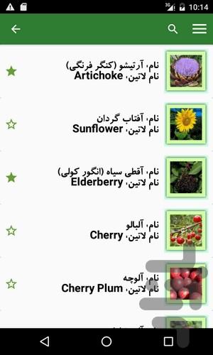 Herbal Medicine (Complete Ref) - Image screenshot of android app