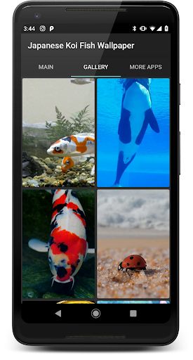 Japanese Koi Fish Wallpaper - Image screenshot of android app