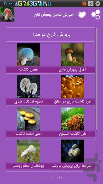 Full training for growing mushrooms - Image screenshot of android app