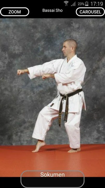 KARATE SHITO-RYU 8 - Image screenshot of android app