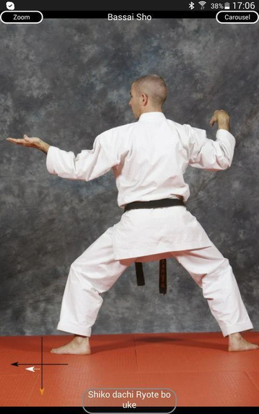 KARATE SHITO-RYU 8 - Image screenshot of android app