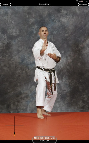 KARATE SHITO-RYU 8 - Image screenshot of android app