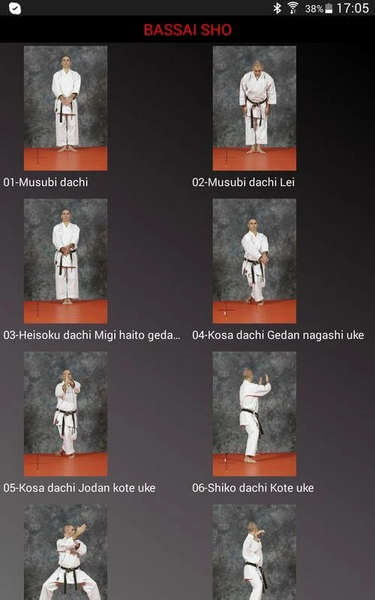 KARATE SHITO-RYU 8 - Image screenshot of android app