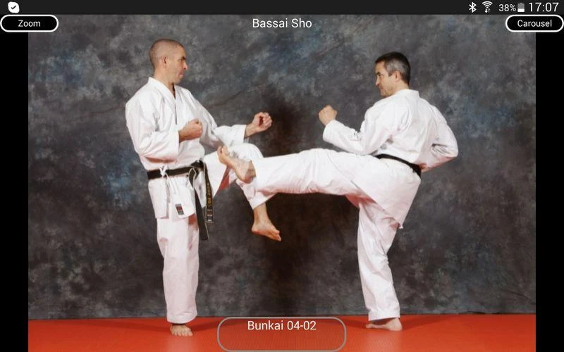 KARATE SHITO-RYU 8 - Image screenshot of android app