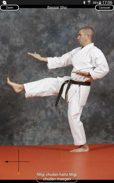 KARATE SHITO-RYU 8 - Image screenshot of android app
