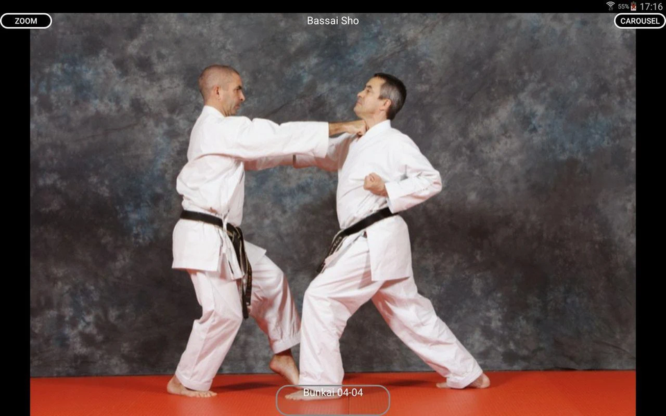 KARATE SHITO-RYU 8 - Image screenshot of android app