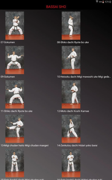KARATE SHITO-RYU 8 - Image screenshot of android app