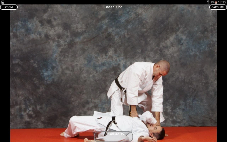 KARATE SHITO-RYU 8 - Image screenshot of android app