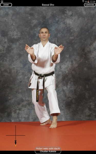 KARATE SHITO-RYU 8 - Image screenshot of android app