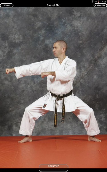 KARATE SHITO-RYU 8 - Image screenshot of android app