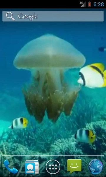 Jellyfish Video Live Wallpaper - عکس برنامه موبایلی اندروید