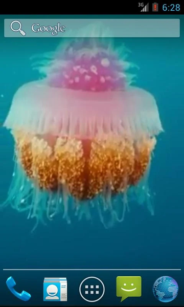 Jellyfish Video Live Wallpaper - عکس برنامه موبایلی اندروید