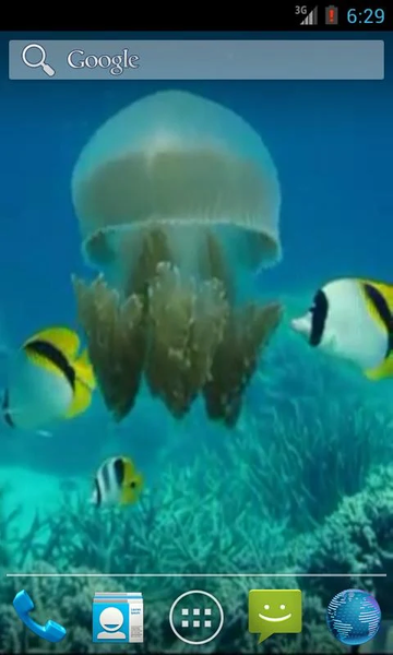 Jellyfish Video Live Wallpaper - Image screenshot of android app