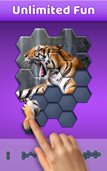 Hexa Jigsaw Puzzle ® - عکس بازی موبایلی اندروید
