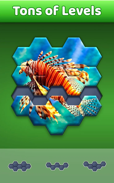 Hexa Jigsaw Puzzle ® - Gameplay image of android game