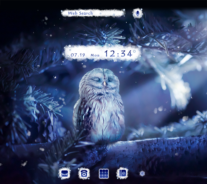 Winter Owl Theme +HOME - Image screenshot of android app