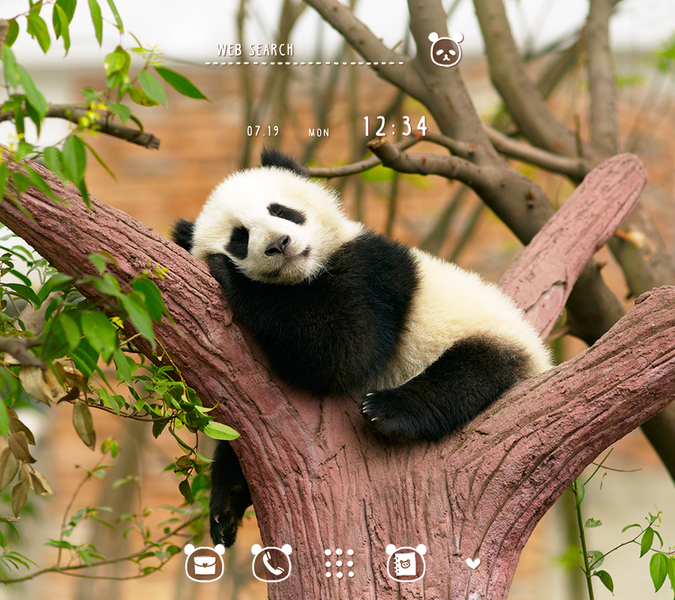 Napping Panda Theme - Image screenshot of android app